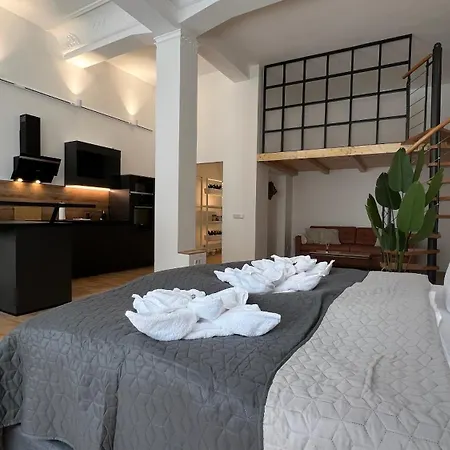Neu! City-Loft-Apartment Im Goethe Palais I 5P I Lift I Parkplatz I Zentrum I Helios Aue  Exterior photo