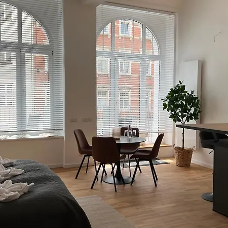 Neu! City-Loft-Apartment Im Goethe Palais I 5P I Lift I Parkplatz I Zentrum I Helios Aue  Exterior photo