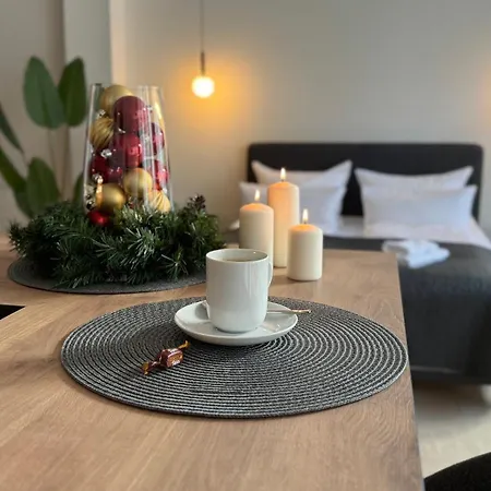 Neu! City-Loft-Apartment Im Goethe Palais I 5P I Lift I Parkplatz I Zentrum I Helios Aue  Exterior photo
