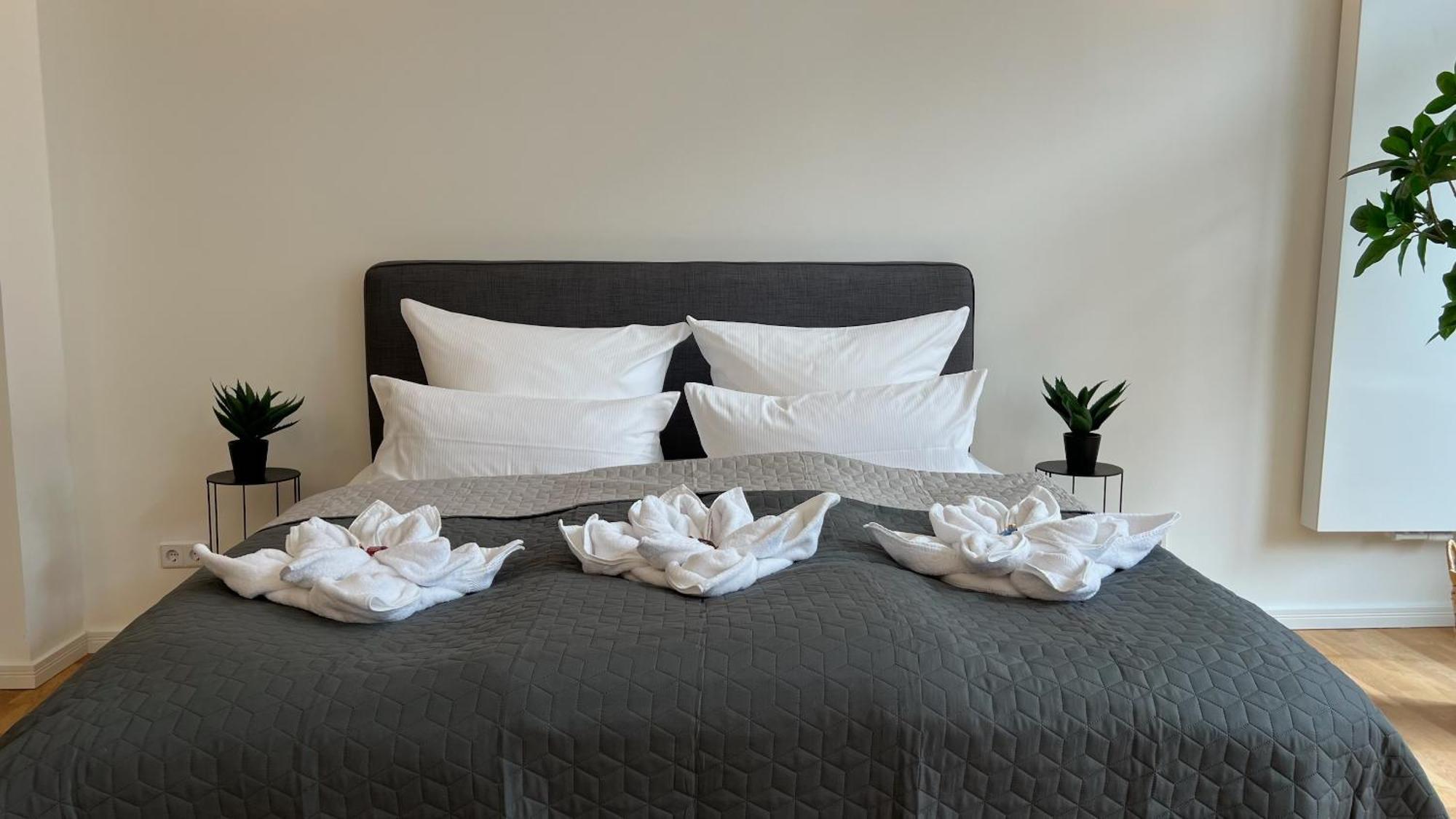 Apartment Neu! City-loft-apartment Im Goethe Palais I 5p I Lift I Parkplatz I Zentrum I Helios